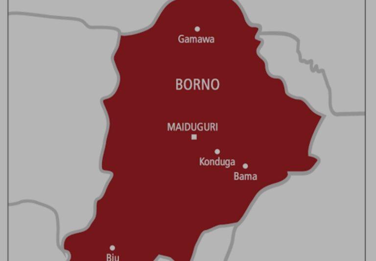 Borno mine blast kills 2 civilian JTF commanders, others