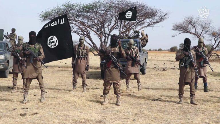 Boko Haram militants slaughter 13 farmers in fresh attack in Borno