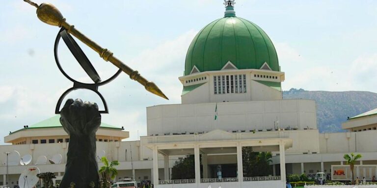 Protest erupts at National Assembly premises over Kaduna military bombing