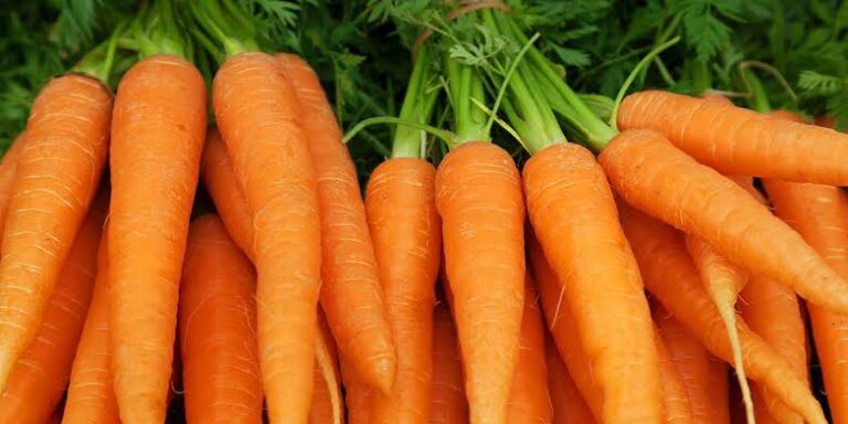 Unraveling the daily power of carrots for a healthier you