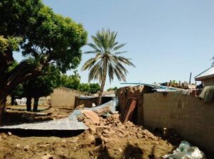 Jigawa's Silent Crisis: Farmers' Battle Against Hunger in the Wake of Devastating Floods, by Muhammad Abubakar Tahir