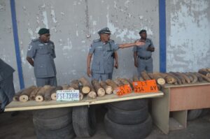 Customs arrest Cameroonian in Mfum with pistol, 52 elephant tusks