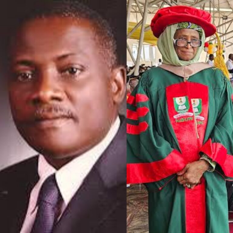 NOUN to confer honorary doctorate degrees on Innoson’s Chukwuma, Hafsatu Abdulwaheed as 22,175 students graduate