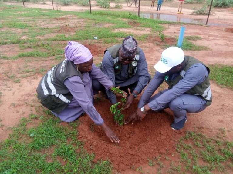 NGGW DG flags off 2024 direct tree planting programme in Kano (pictures)