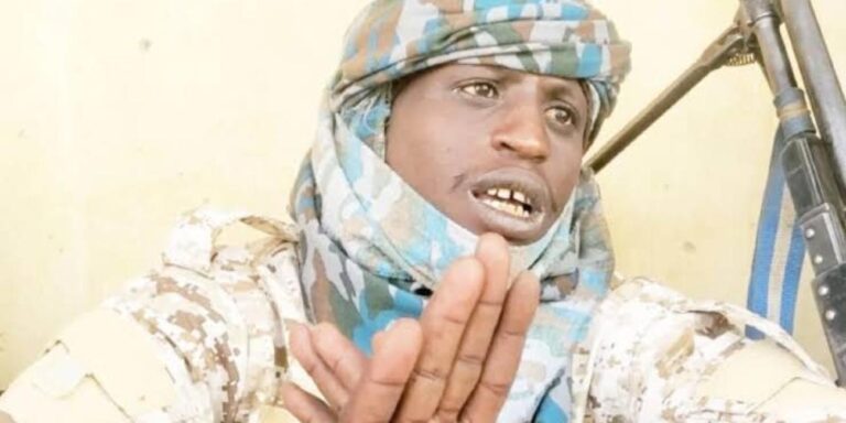 Terrorist urges Nigerians to share bank details for 'Giveaways' after protests