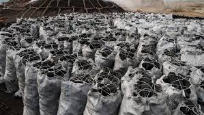 Charcoal Prices Soar in Kano: Residents struggle with rising costs