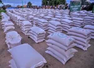 Gov. Zulum distributes FG’s food intervention to 10,000 families