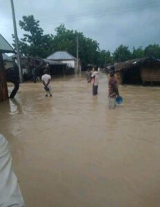 Again, flood submerges another Bauchi community, destroys houses, farmlands