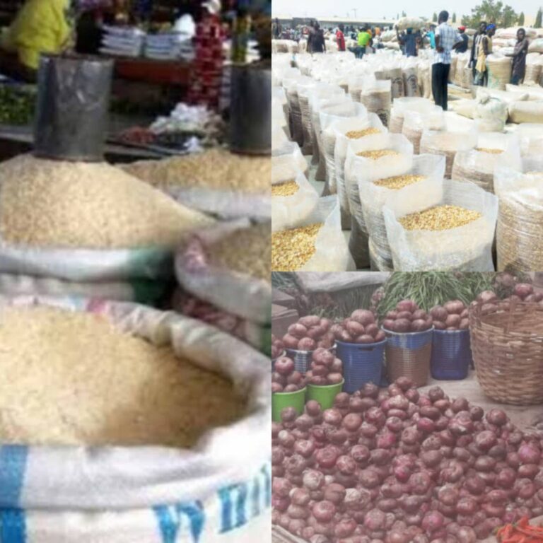 Prices of potatoes, tomatoes drop in Bauchi markets as rice, yam skyrocket despite harvest season 