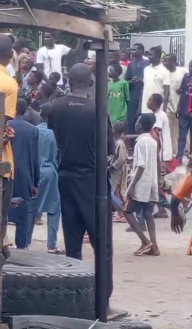 Borno declares 24-hour curfew amid ongoing protest (video) 