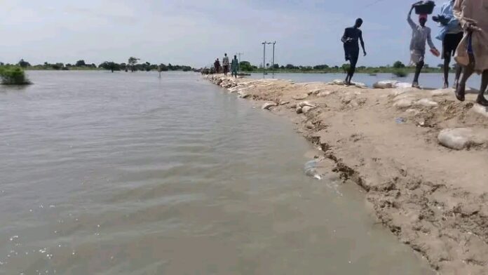 Floods cuts off Maiduguri-Damboa highway