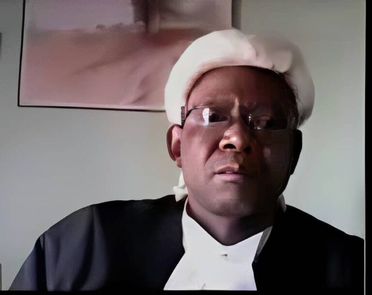 Borno Judge regains freedom 2 months after abduction as wife, others remain in captivity