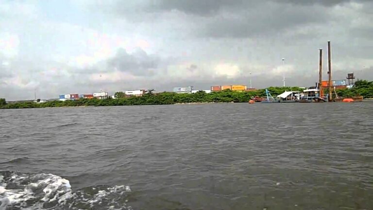 Blind man, 2 sons, attempt suicide on Lagos bridge over hardship