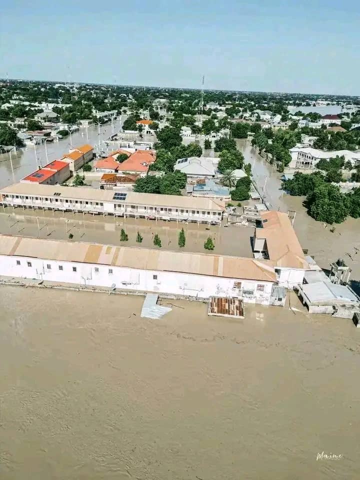 Prisoners escape as flood disaster worsens in Maiduguri (pictures, videos)