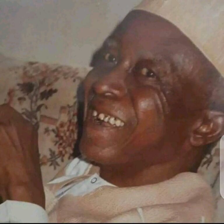 Mansa: The unsung pioneer civil engineer who warned of Borno’s Dam disaster