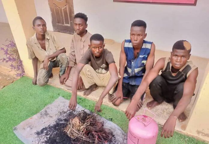 Police in Adamawa arrest 5 suspected vandals