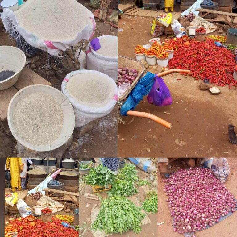 Kaduna Market Mayhem: Essential commodities become unaffordable as prices surge