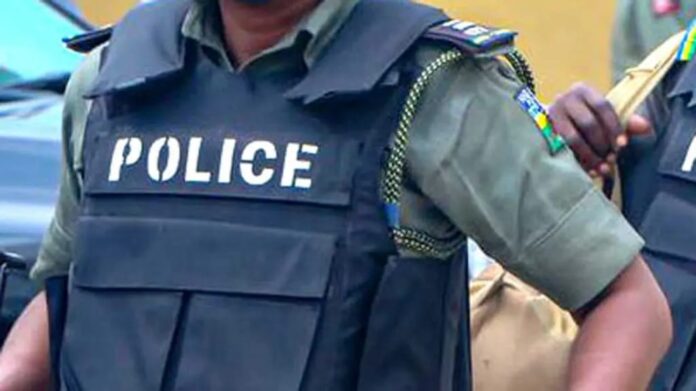 Police in Bauchi arrest 2 varsity students for stealing TV, other valuables 