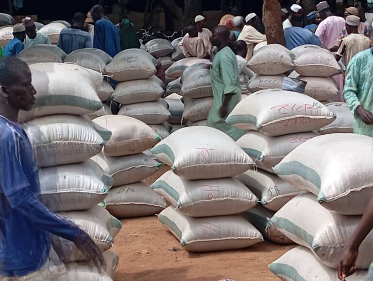 Consumers in Yobe react to reduction in prices of food commodities, vegetables as harvests begin