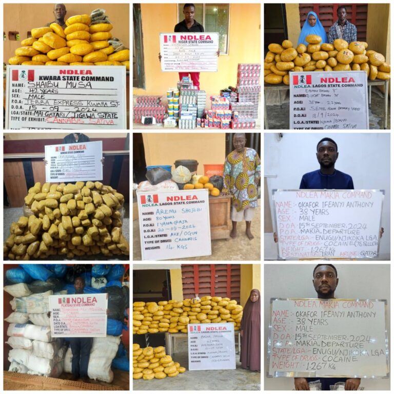 NDLEA seizes ₦14.9bn worth of opioids, arrests community leader’s wives, son