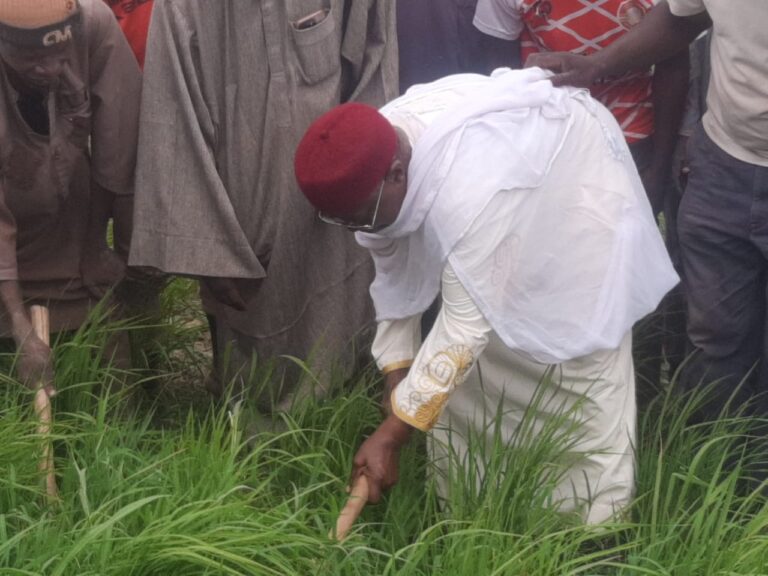 Emir encourages cassava farming to tackle hunger, unemployment (pictures)