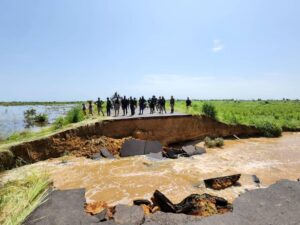 Borno Flood: Rice farmers count losses as LGAs yet to reconnect city center