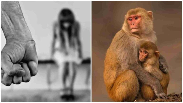 Monkeys save 6-year-old from sexual assault