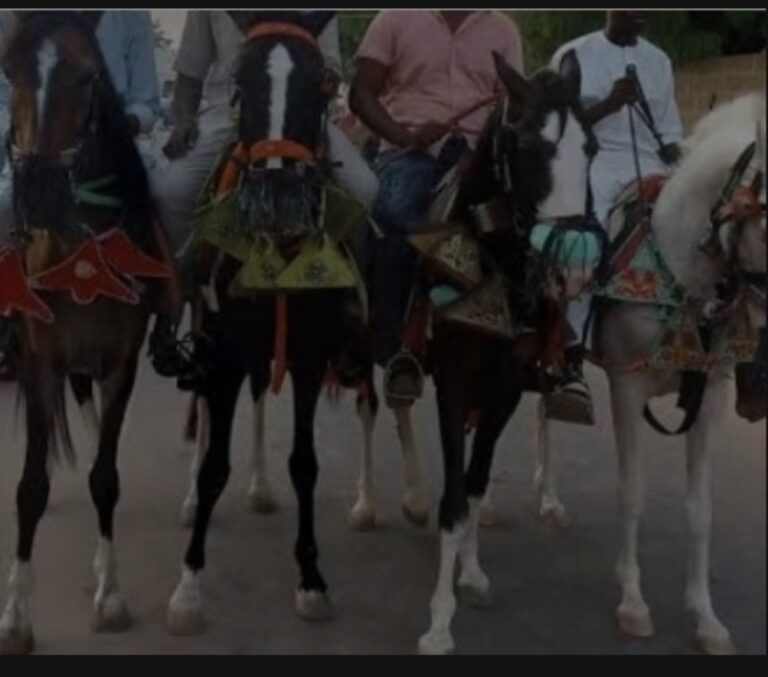 Petrol Hike: Borno residents trek, use horses for transportation