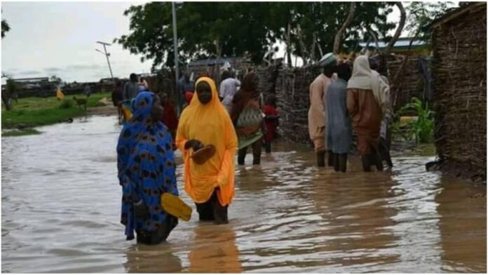 Kano allocates zero funds to flood control, ₦555m on hospitality