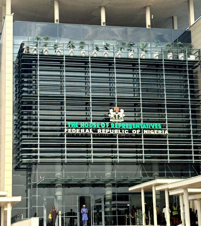 Reps move to halt private airstrip licenses amid security concerns