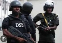 DSS releases journalist following IPI intervention