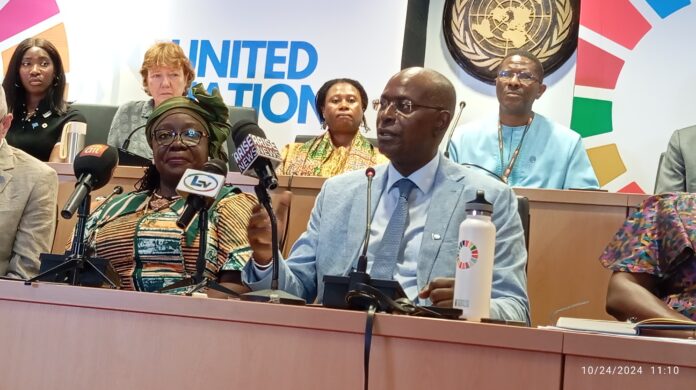 UN pledges support for Nigeria's 2030 Sustainable Development Goals