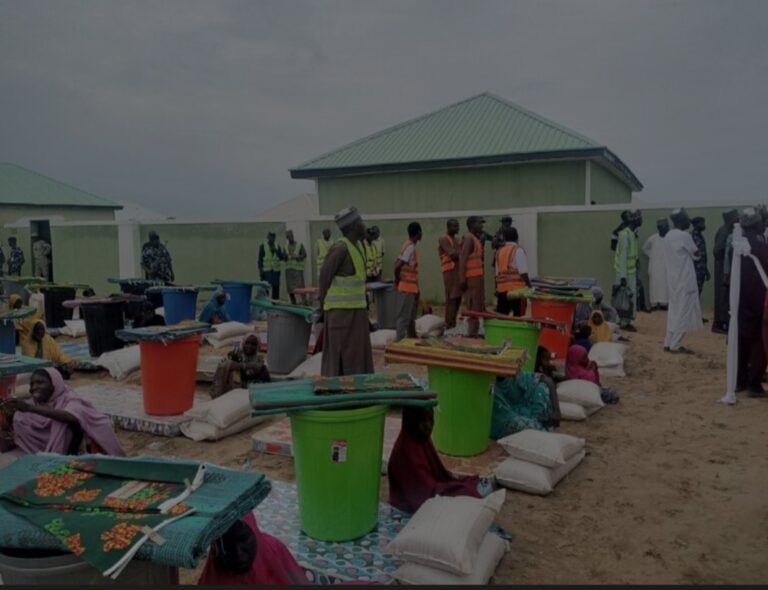 Borno gov’t resettles displaced families in 500 newly constructed houses