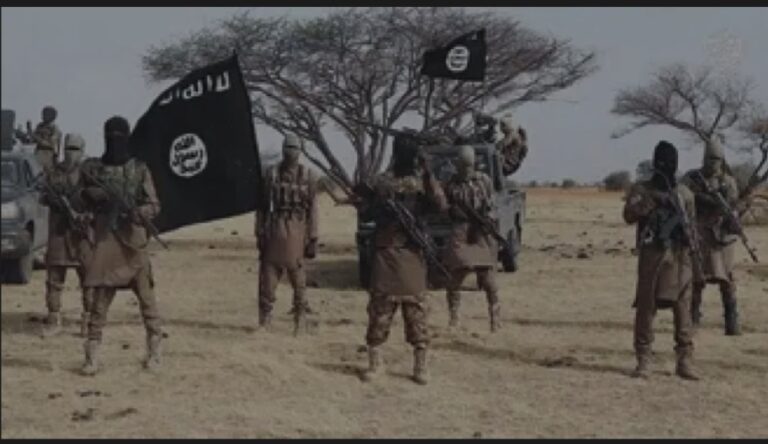 Boko Haram executes 2 humanitarian workers with axe, sends warning to Nigerians