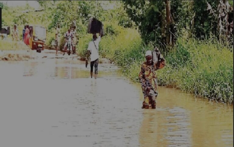 Snakes creep into houses as flood displaces over 200 families