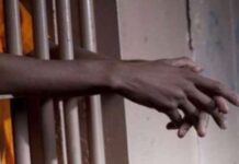 Saudi Arabia releases 3 Nigerians detained on criminal charges