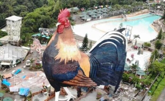 Clucking Sensation: Giant chicken hotel sets world record