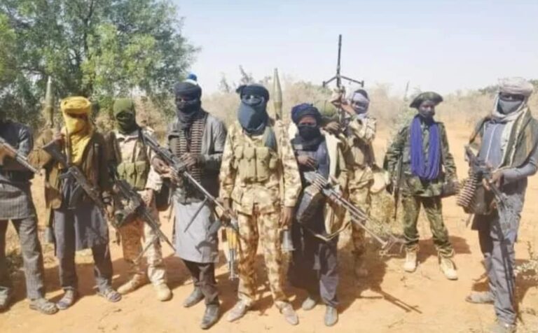 Southern Kaduna: 14 communities attacked, 50 killed, 170 kidnapped, ₦700m ransom paid in 7 months