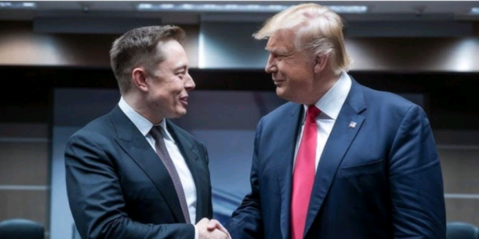 Trump appoints Elon Musk to head new department of gov't efficiency