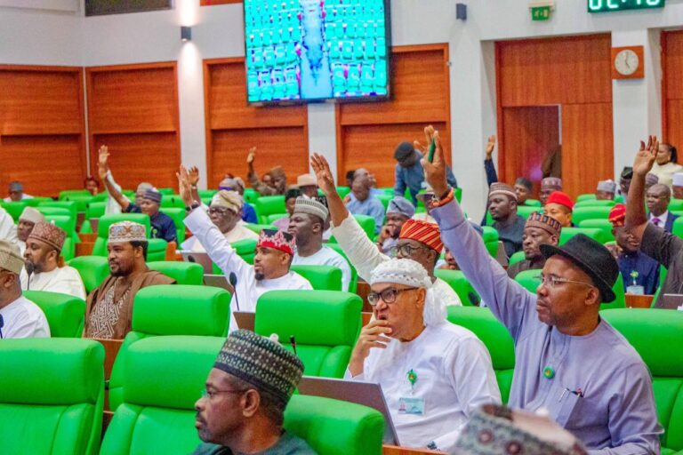 Reps reject Bill for 6-year single term for president, governors