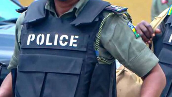 Police bust kidnap syndicate in Kaduna, seize AK-47 rifle