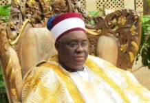 Guardians of Heritage, Champions of Progress: Meet the traditional Emirs shaping Yobe’s future