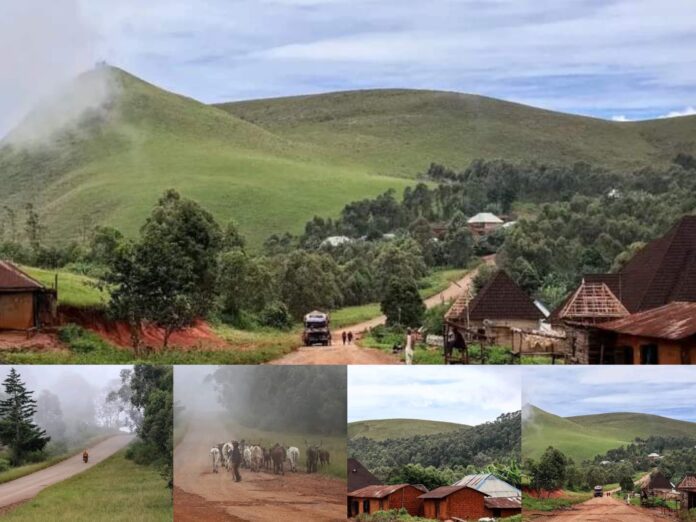 The Thrills of Gurgu: A Hidden Gem on the Mambilla Plateau, by Abdulaziz Jauro Maisamari