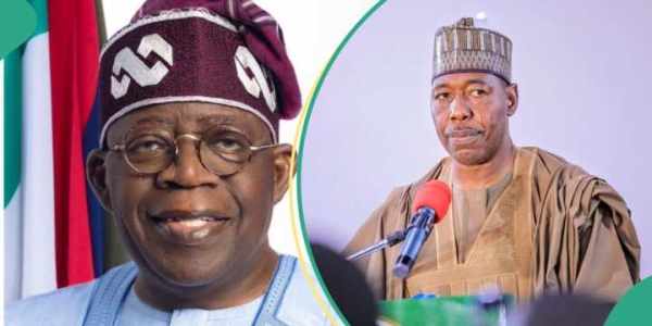 Tax Reform: Zulum backs Tinubu, urges broader consultation