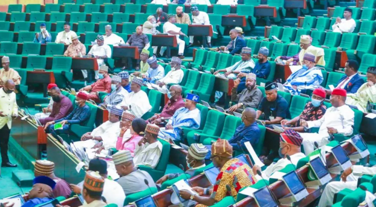 Reps summon CDS, COAS over soldiers’ alleged illegal activities