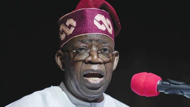 I’ll go after ‘Bad’ Nigerians, they are in trouble – Tinubu declares