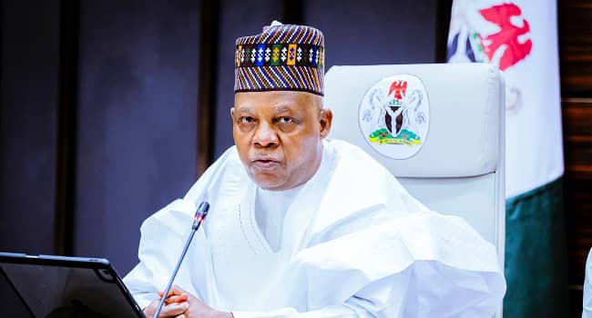 Shettima inaugurates NEC’s National electrification, polio ad hoc committees