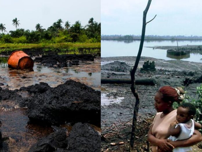 Leaked UN report exposes alleged failures, corruption in $1 billion oil spill project