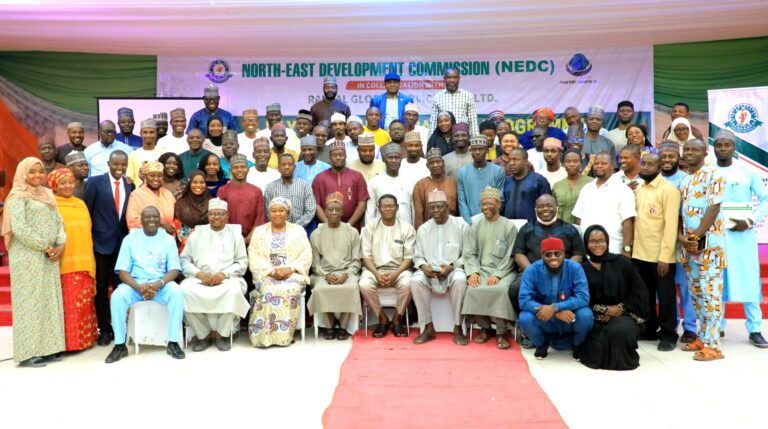 NEDC trains journalists, CSOs on tech, conflict reporting in Northeast