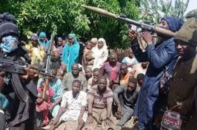 Concerned youths demand action as bandits declare republic in Niger State